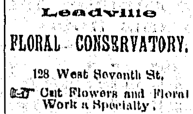 Dauth Family Archive - 1889-09-25 - Herald Democrat - Elisabeth Dauth's Floral Conservatory Advertisement