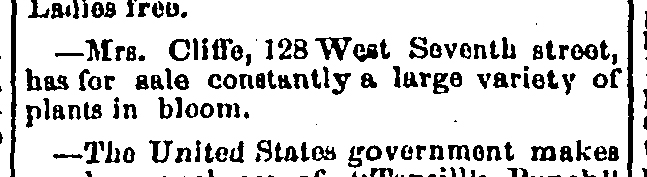 Dauth Family Archive - 1883-03-25 - Leadville Daily Herald - Elisabeth Dauth