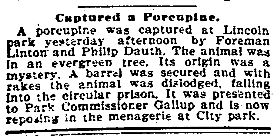 Dauth Family Archive - 1897-09-09 - Denver Post - Philip Dauth Catches Porcupine