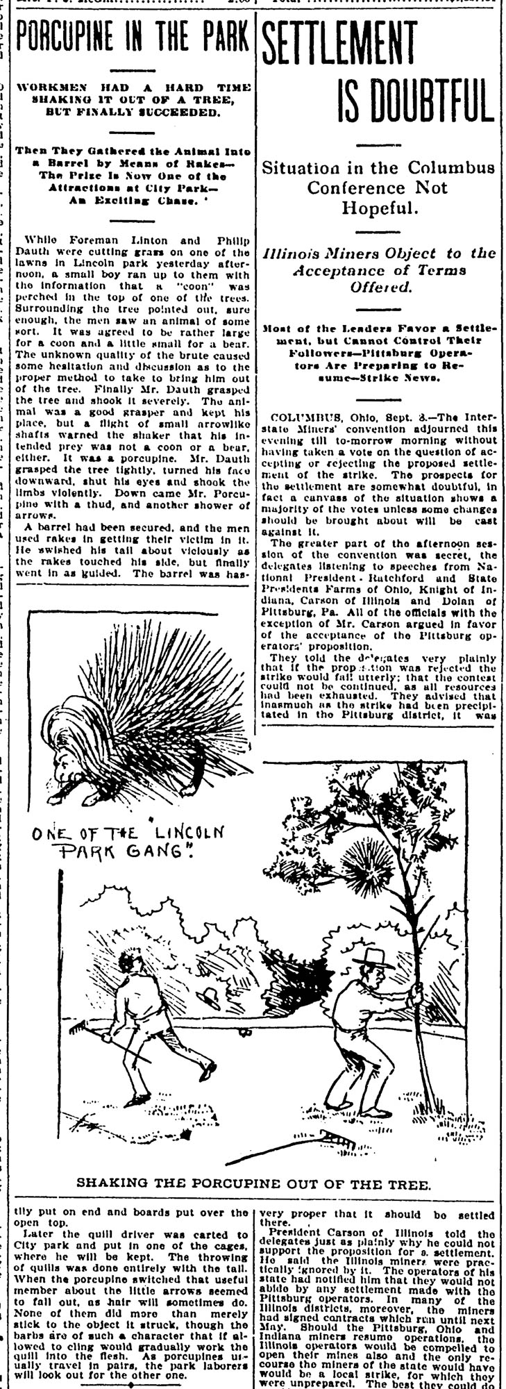 Dauth Family Archive - 1897-09-09 - Denver Rocky Mountain News - Philip Dauth Porcupine Story And Sketch