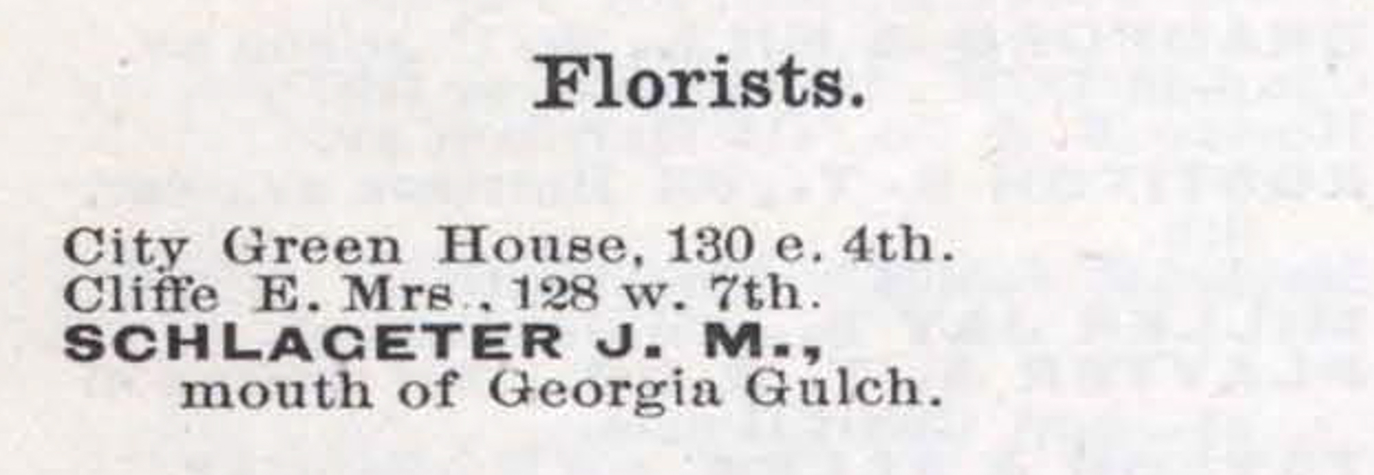 Dauth Family Archive - 1884 - Leadville Directory - Entry for Elisabeth Cliffe