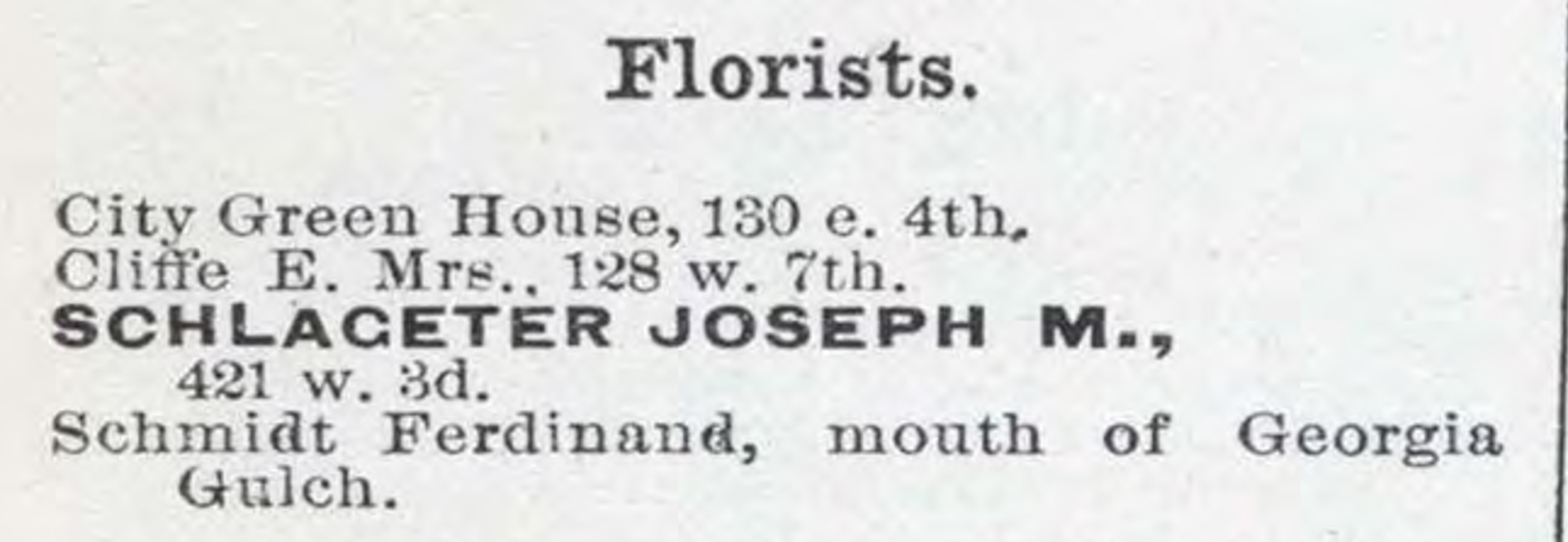 Dauth Family Archive - 1885 - Leadville Directory - Entry for Elisabeth Cliffe