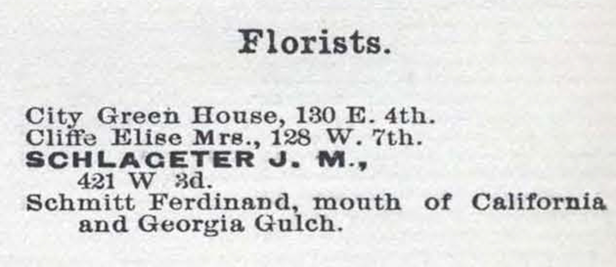 Dauth Family Archive - 1886 - Leadville Directory - Entry for Elisabeth Cliffe Florist