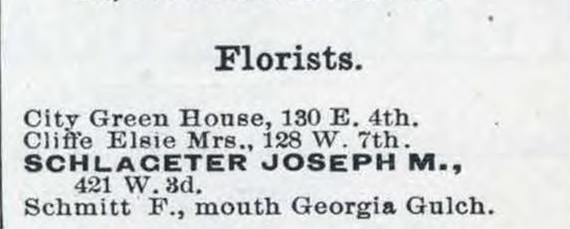 Dauth Family Archive - 1887 - Leadville Directory - Entry for Elisabeth Cliffe Florist
