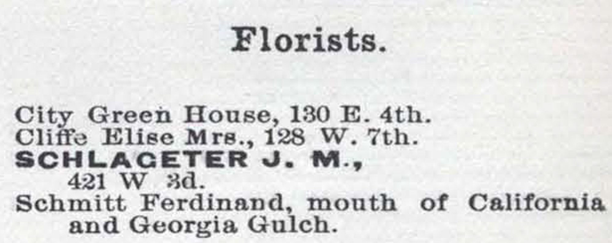 Dauth Family Archive - 1888 - Leadville Directory - Entry for Elisabeth Dauth Florist