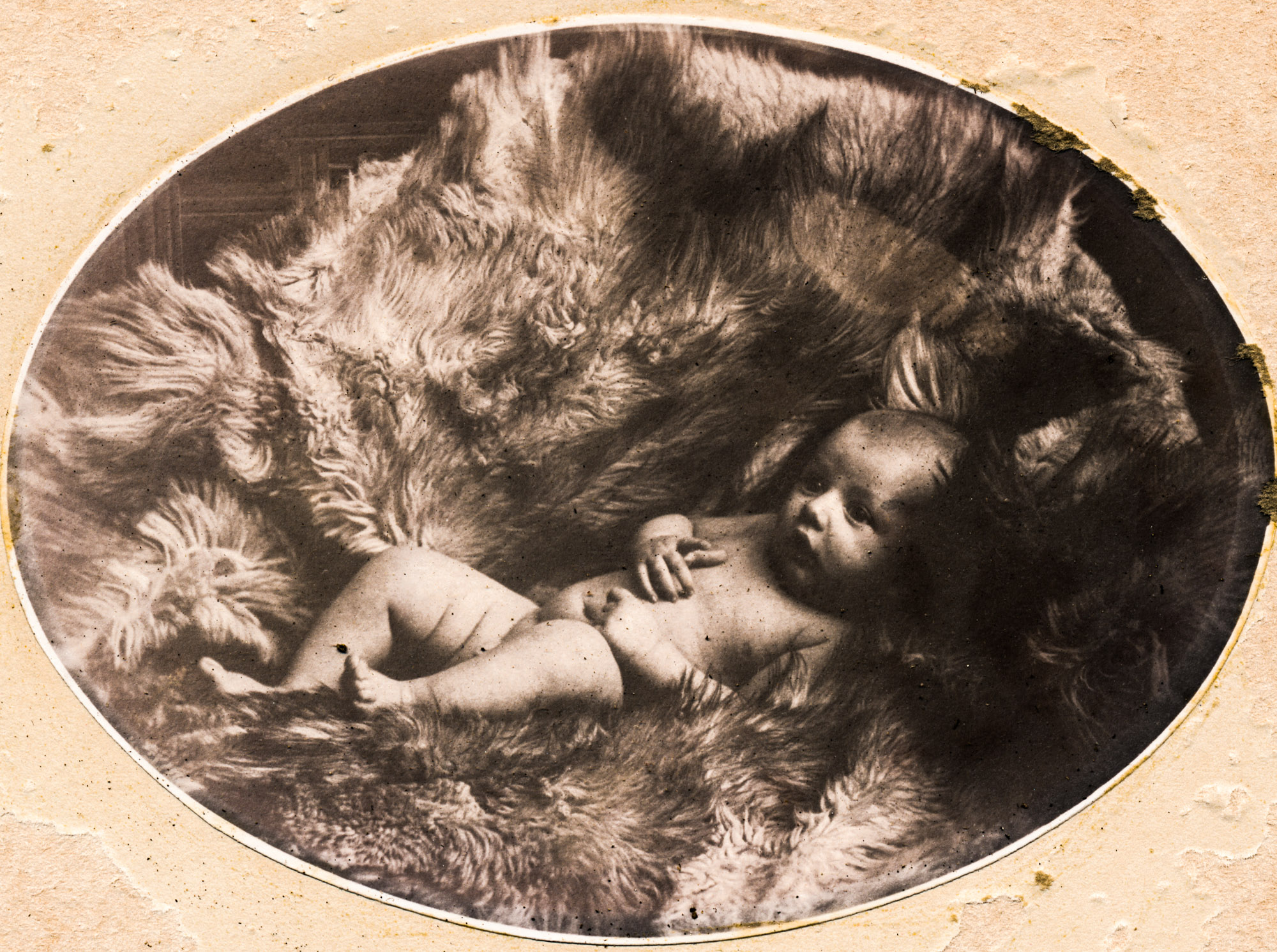 Dauth Family Archive - 1904 - June Dauth Newborn - Photo 2