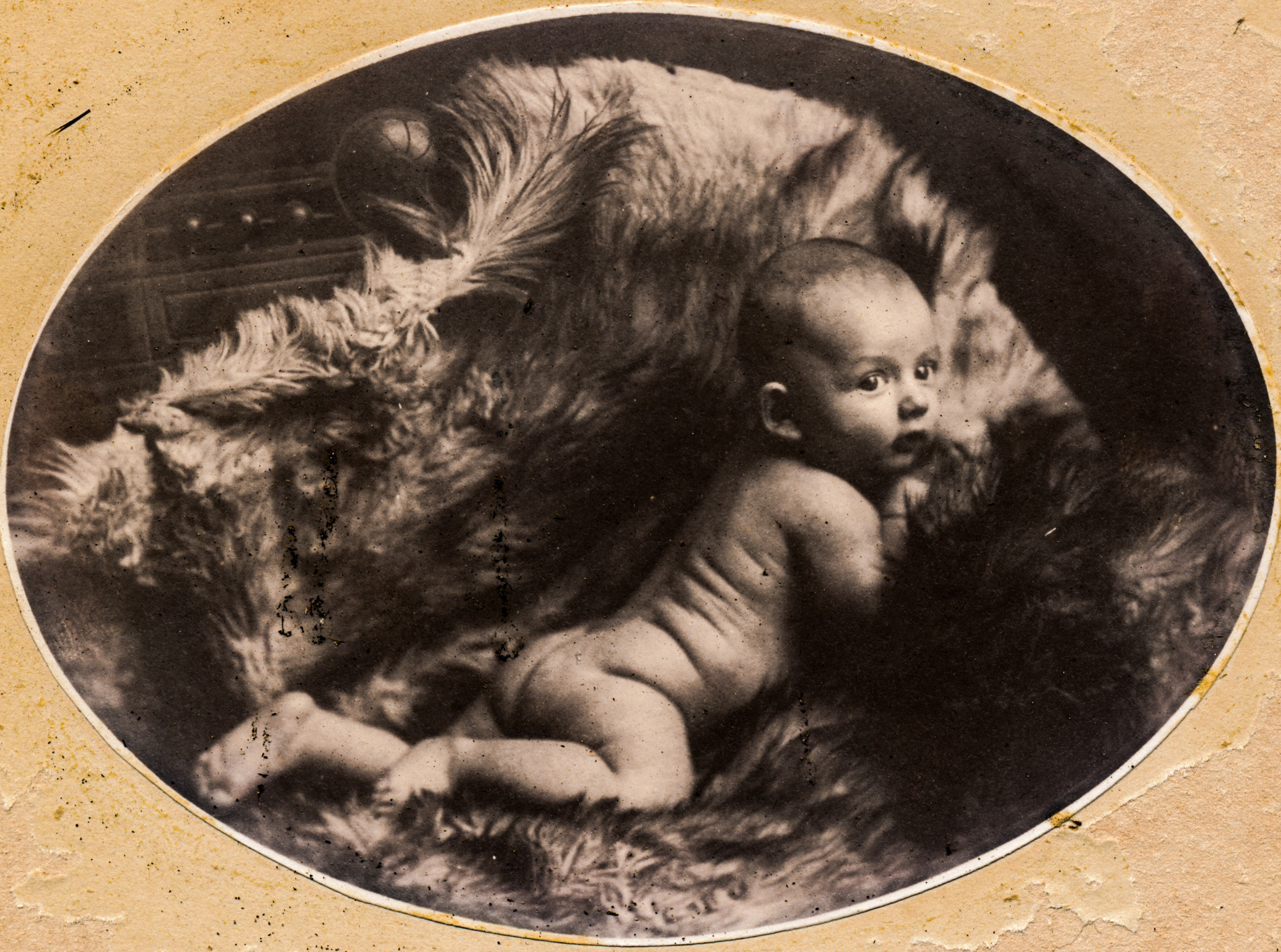 Dauth Family Archive - 1904 - June Dauth Newborn - Photo 4